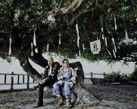 ��ʮ��ֻʯʨ��