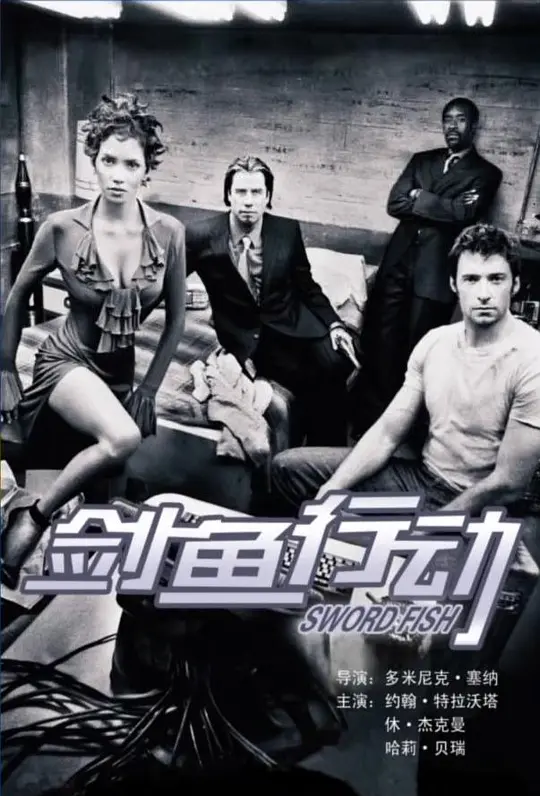 �����ж���Ӱ�ӽ�˵��