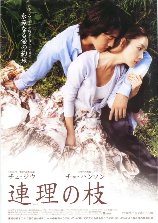 ����֦��Ӱ�ӽ�˵��