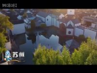 ���ճ����������� ���ݶ�VS���ݶ� 20250629