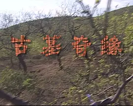 ��Ĺ��Ե2009