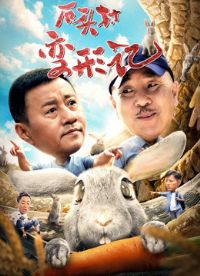 ʯͷ����μ�